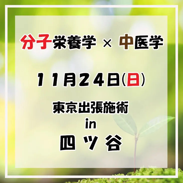 11月24日(日) 東京出張施術 in 東京 『 四ツ谷 』