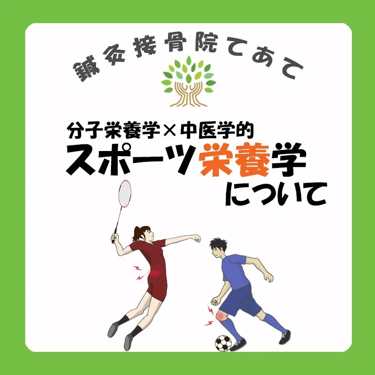 スポーツ栄養学×中医学