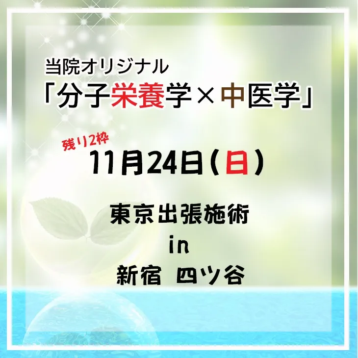 11月24日(日) 東京出張施術『 四ツ谷 』