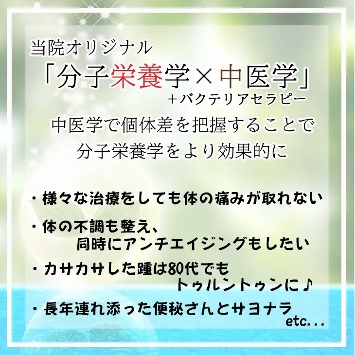 分子栄養学×中医学