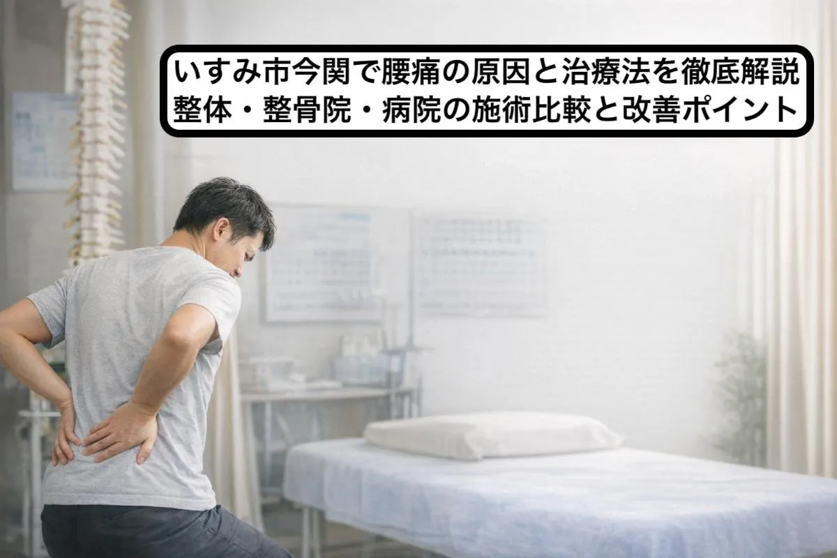 いすみ市今関で腰痛の原因と治療法を徹底解説｜整体・整骨院・病院の施術比較と改善ポイント