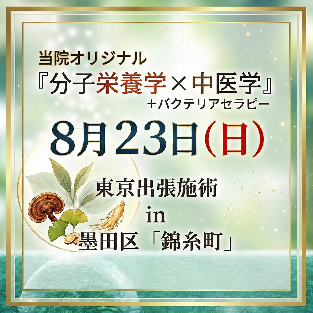 2026年8月23日(日)東京出張施術!in 「錦糸町」