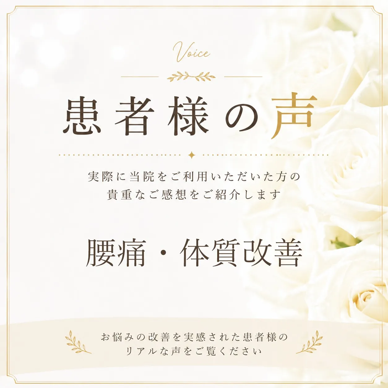 患者様の声「腰痛・体質改善」