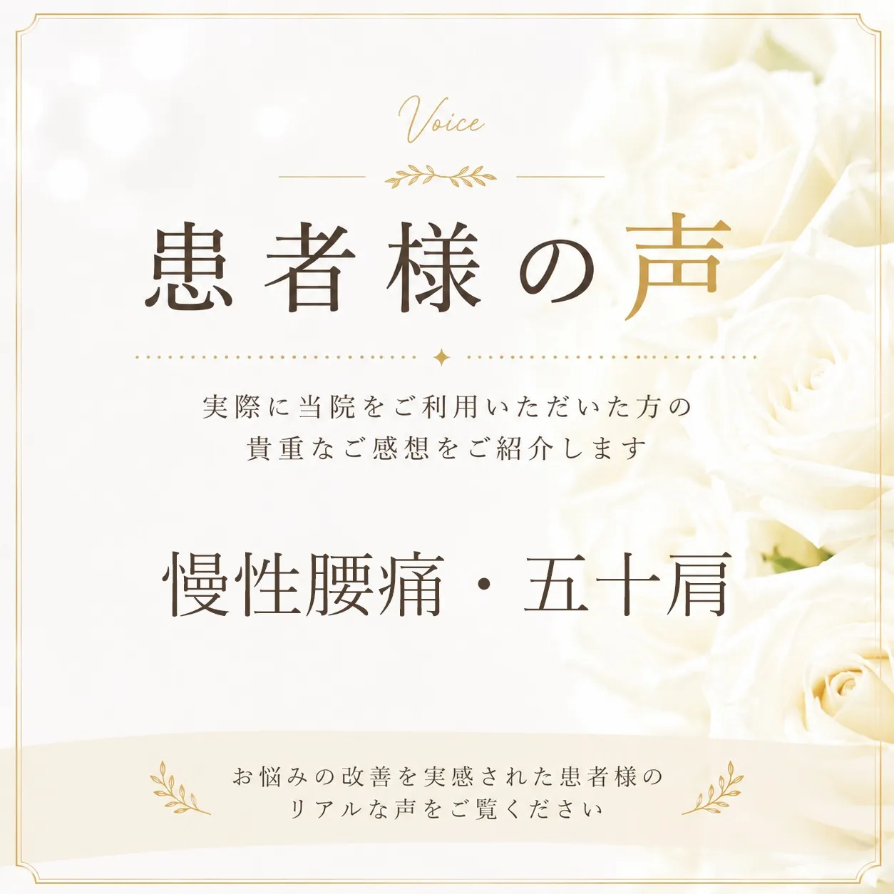 慢性腰痛と五十肩で来院された50代男性の患者様の声・口コミ